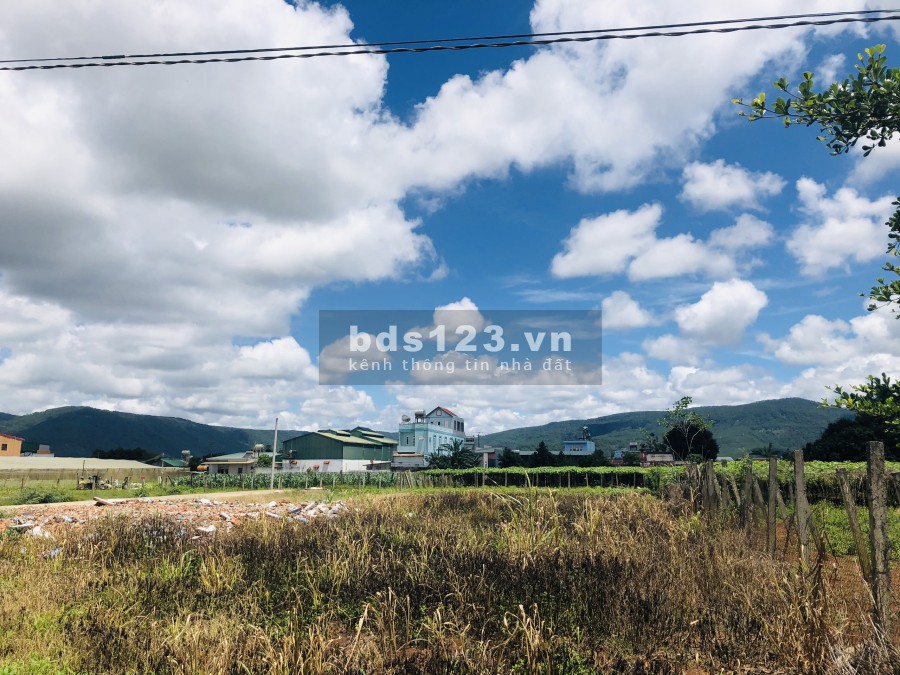 Đất nền chính chủ giá F0 tại Đơn Dương Lâm Đồng, giá bán 482 triệu, liên hệ 0335586881