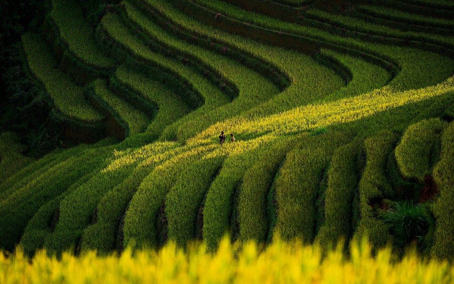 Cần bán nhanh giá cực rẻ thôn Mò Phú Chải,Y Tý, Bát Xát, Lào Cai, đã có trích đo có dấu của huyện