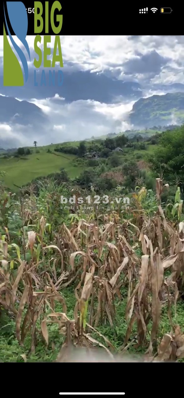 Bán mảnh đất Phan Cán Sử - Y Tý (Sapa 2) Độ cao 2000m có View săn mây lý tưởng.