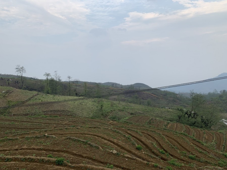 Bán mảnh đất có sổ Hồng view ruộng bậc thang phù hợp xây khách sạn ở SaPa 2 Y Tý