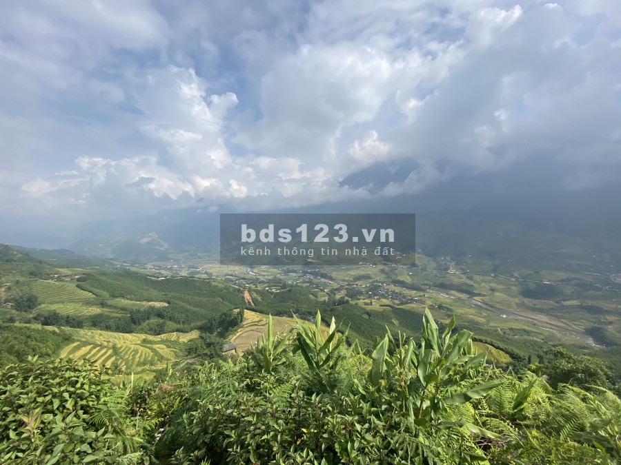Bán lô đất siêu. phẩm Tả Vản, diện tíh 4000m2, giá nhỉnh 1 tỷ, hỗ trợ hồ sơ, thủ tục pháp lý