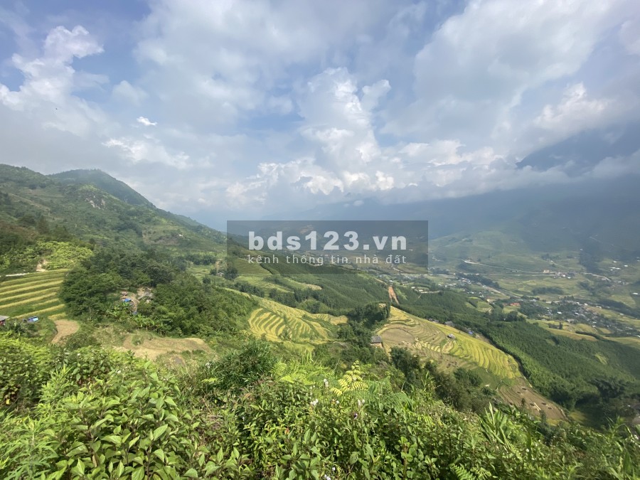 Bán lô đất siêu. phẩm Tả Vản, diện tíh 4000m2, giá nhỉnh 1 tỷ, hỗ trợ hồ sơ, thủ tục pháp lý