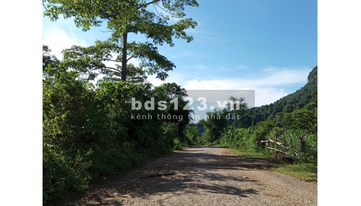 Hơn 300 triệu có ngay mảnh đất tại xã Mỹ Hòa tân lạc Hòa Bình với 1600m đất trồng cây hàng năm
