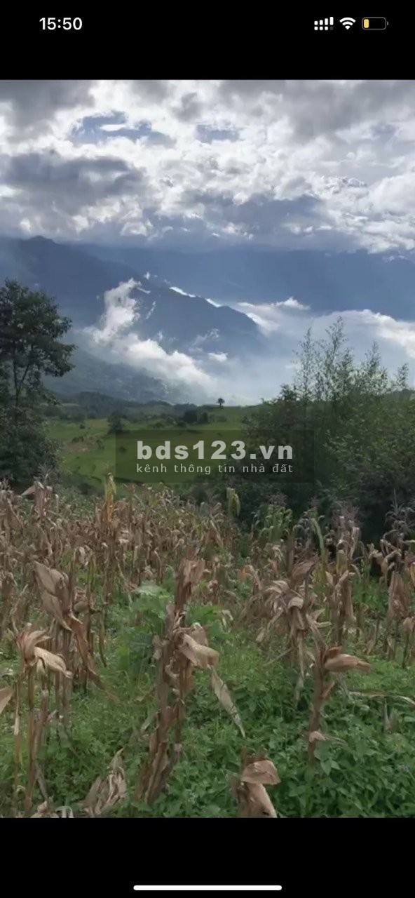 Nhận quà khủng khi sở hữu đất nền nghỉ dưỡng Y Tý-Sapa2, view toàn bộ Mò Phú Chải rất đẹp