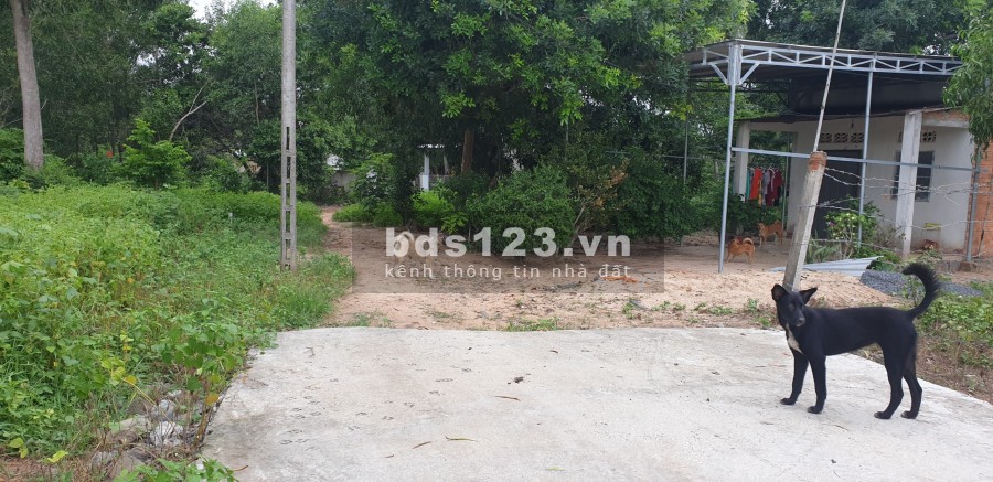 Bán lô đất xã Phước Thuận đường ô tô, giá chỉ 1.1 tỷ, liên hệ 0909196325, diện tích 175m2