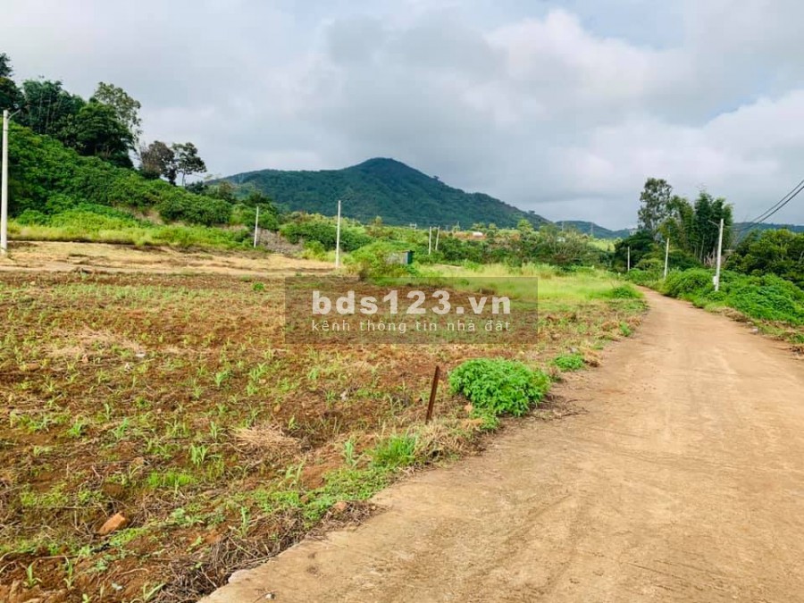 Đất Đẹp Gia Lâm diện tích sử dụng 375m2, giá bán 650 triệu, view đồi 2 mặt đường