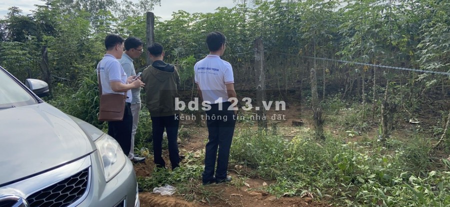 Bán đất sào giá đầu tư, quy hoạch ONT tại xã Phước Bình Long Thành, sổ hồng sẳn