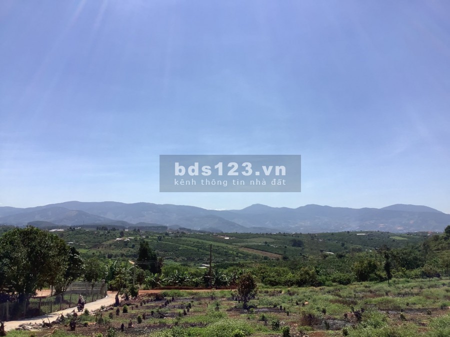 Đất Đẹp Gia Lâm diện tích sử dụng 375m2, giá bán 650 triệu, view đồi 2 mặt đường