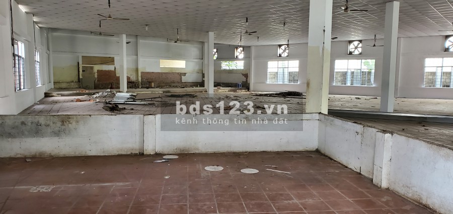 Cho thuê kho xưởng 900m2, đường Lê Thị Trung, Thuận An, Bình Dương.