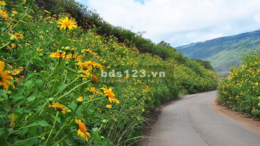 Đất Bảo Lộc view thác tuyệt đẹp diện tích 556m2 giá 960 triệu, liên hệ xem đất 0785153616