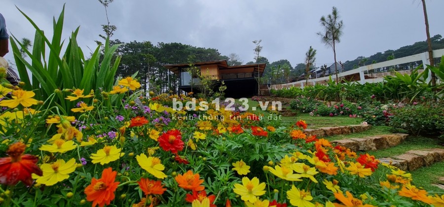 Đất Bảo Lộc view thác tuyệt đẹp diện tích 556m2 giá 960 triệu, liên hệ xem đất 0785153616