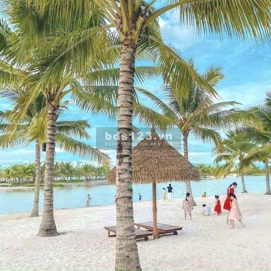 Căn Hộ Studio, 1PN , 2pn, 2pn+ Và 3 PN Giá Tốt Nhất Tháng 9 và Chính Sách hỗ trợ vay 100%