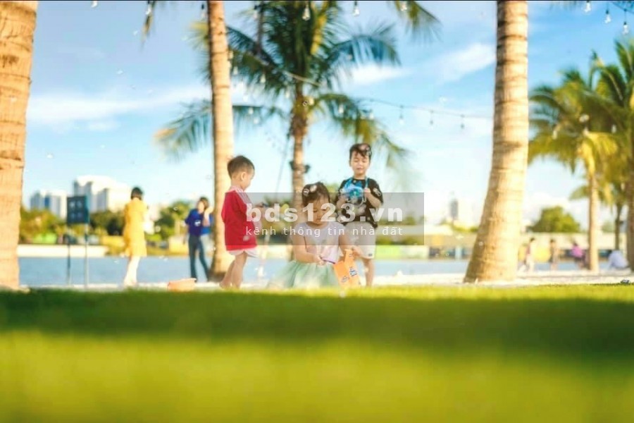 Căn Hộ Studio, 1PN , 2pn, 2pn+ Và 3 PN Giá Tốt Nhất Tháng 9 và Chính Sách hỗ trợ vay 100%