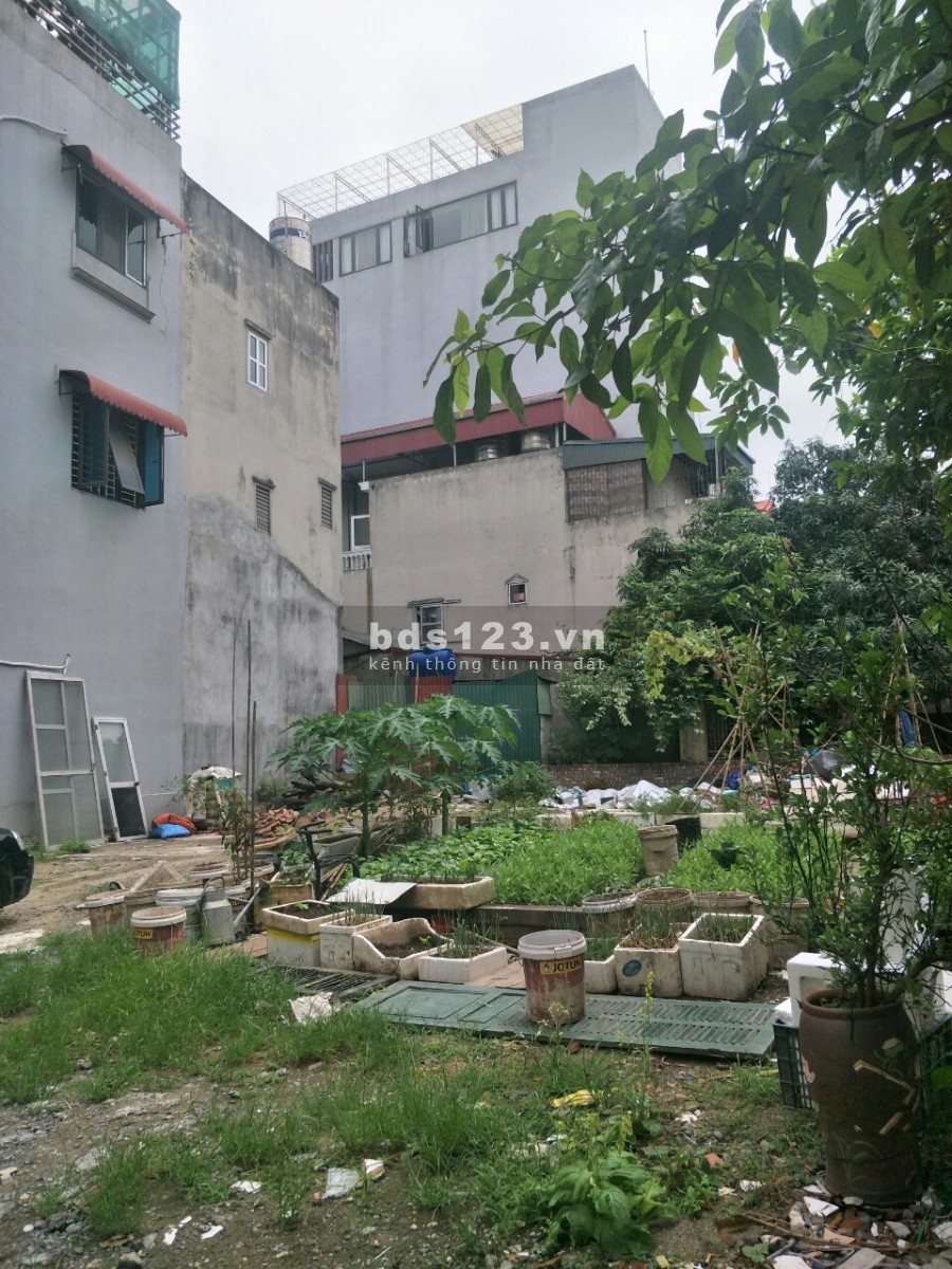 Bán đất phố Thạch Bàn 300m2 mặt tiền 15m giá 19 tỷ, đầu tư giữ tiền, chia lô, tòa nhà.