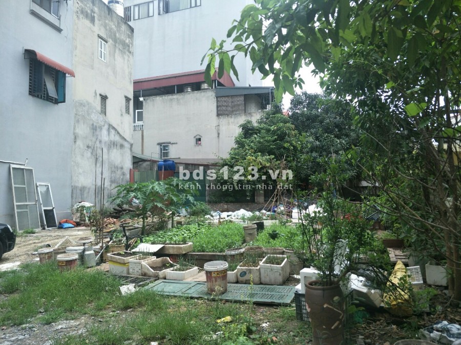 Bán đất phố Thạch Bàn 300m2 mặt tiền 15m giá 19 tỷ, đầu tư giữ tiền, chia lô, xây tòa nhà.