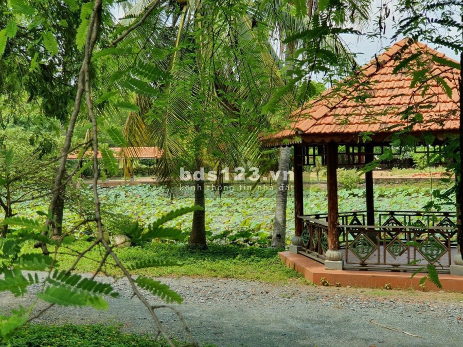 2,3ha đất hẻm 170 đường Lò Lu Phường Trường Thạnh LH: 0907016378 Mr.Thông