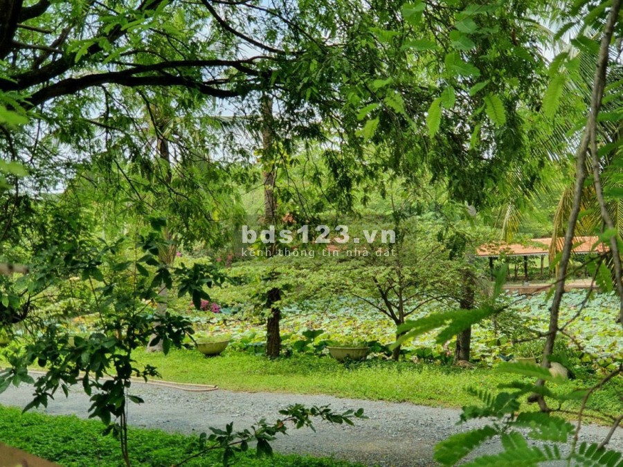 2,3ha đất hẻm 170 đường Lò Lu Phường Trường Thạnh LH: 0907016378 Mr.Thông