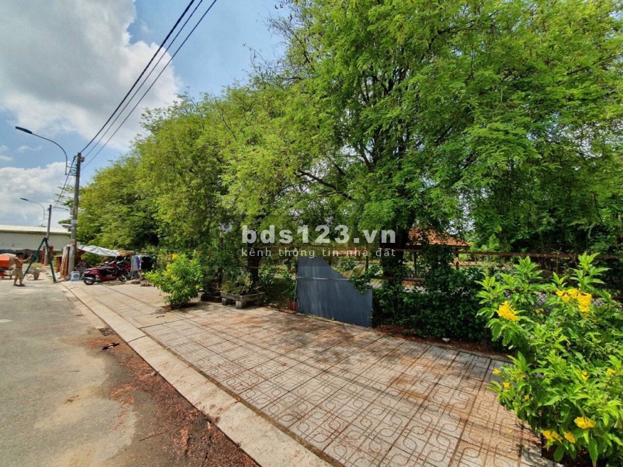 2,3ha đất hẻm 170 đường Lò Lu Phường Trường Thạnh LH: 0907016378 Mr.Thông