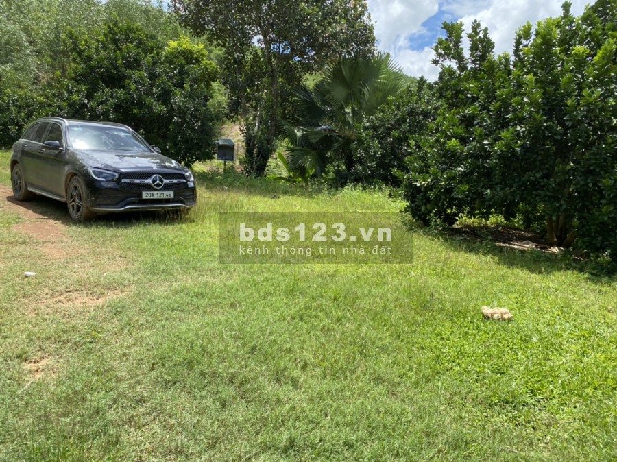 Chỉ hơn 3 tỷ có ngay 2.3ha đất thổ cư trung tâm Tân Lạc, núi đồi ao vườn, sân nhà, sổ sẵn
