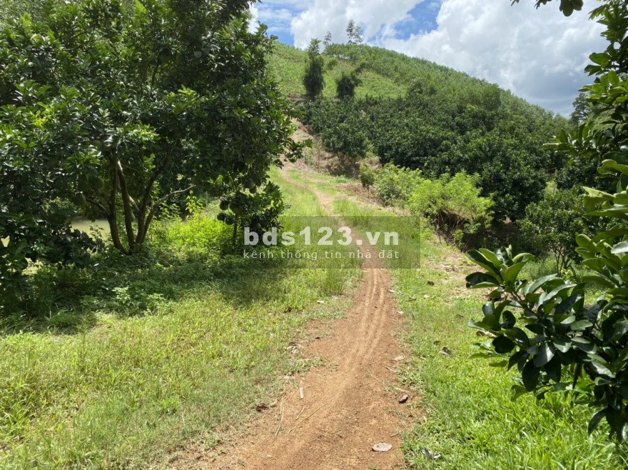 Chỉ hơn 3 tỷ có ngay 2.3ha đất thổ cư trung tâm Tân Lạc, núi đồi ao vườn, sân nhà, sổ sẵn