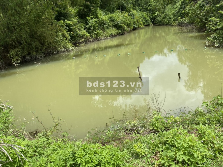 Chỉ hơn 3 tỷ có ngay 2.3ha đất thổ cư trung tâm Tân Lạc, núi đồi ao vườn, sân nhà, sổ sẵn
