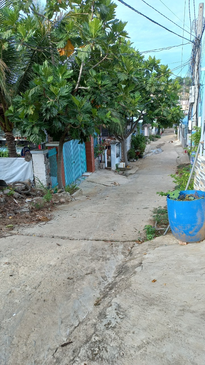 Chính chủ cần bán gấp lô đất tổ 1, thôn Vĩnh Thành, xã Vĩnh Phương
