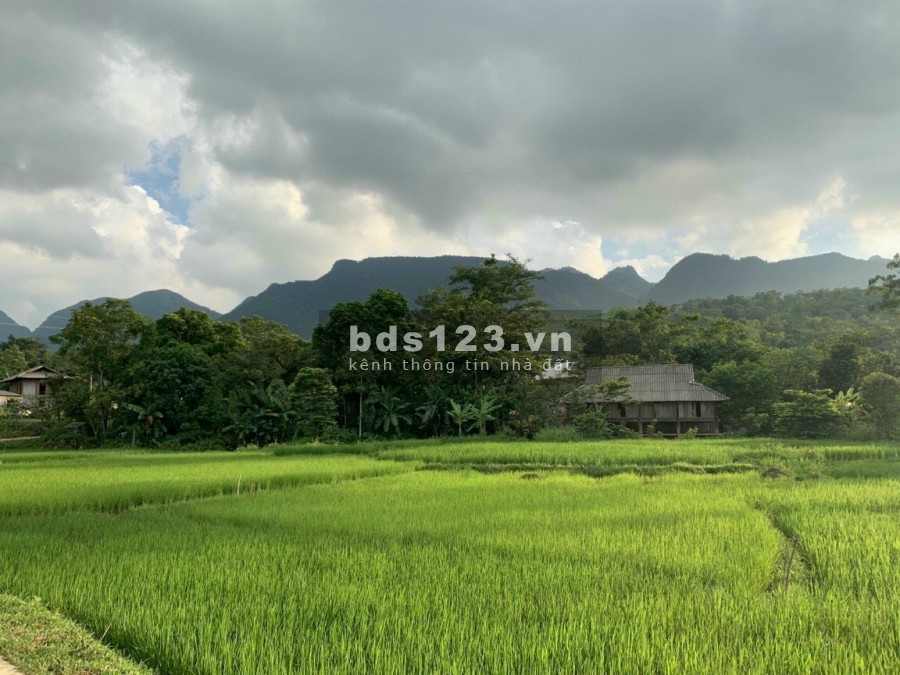 Siêu Phẩm 3200m2 đất có thổ cư tại Tân Lạc Hòa Bình, liên hệ xem đất 0833066663
