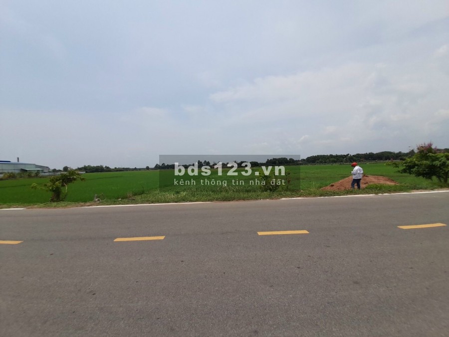 Cần bán đất mặt tiền Võ Văn Điều xã Trung Lập Thượng đường lộ lớn 20m diện tích 500m2 có 100 thổ cư