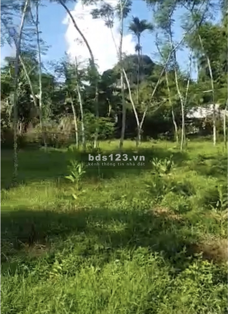 Siêu Phẩm 3200m2 đất có thổ cư tại Tân Lạc Hòa Bình, liên hệ xem đất 0833066663