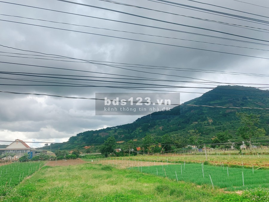 Bán lô đất diện tích sử dụng 460m2 thổ cư Tân Hà, Lâm Hà, giá chỉ 629 triệu, sổ đỏ chính chủ