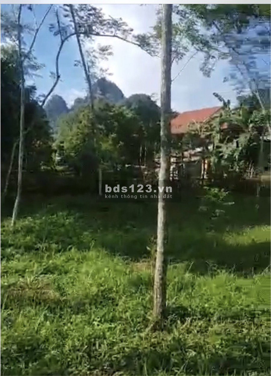 Siêu Phẩm 3200m2 đất có thổ cư tại Tân Lạc Hòa Bình, liên hệ xem đất 0833066663