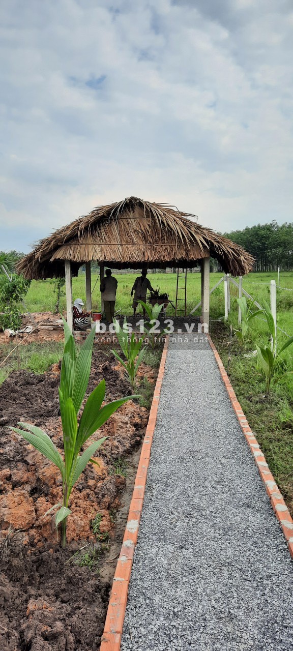 Bán nhà vườn Củ Chi giá ngộp tuyệt đẹp chỉ 830tr, SHR công chứng ngay