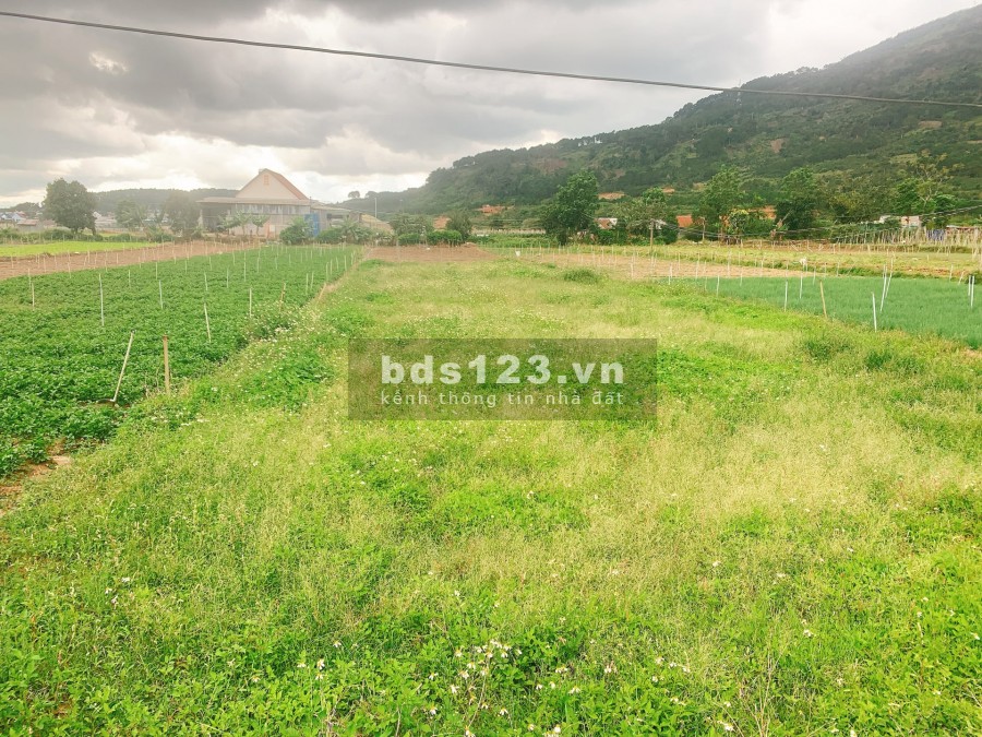 Bán lô đất diện tích sử dụng 460m2 thổ cư Tân Hà, Lâm Hà, giá chỉ 629 triệu, sổ đỏ chính chủ