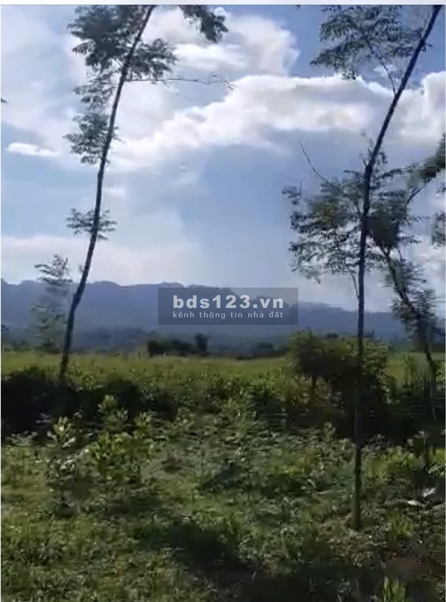 Siêu Phẩm 3200m2 đất có thổ cư tại Tân Lạc Hòa Bình, liên hệ xem đất 0833066663