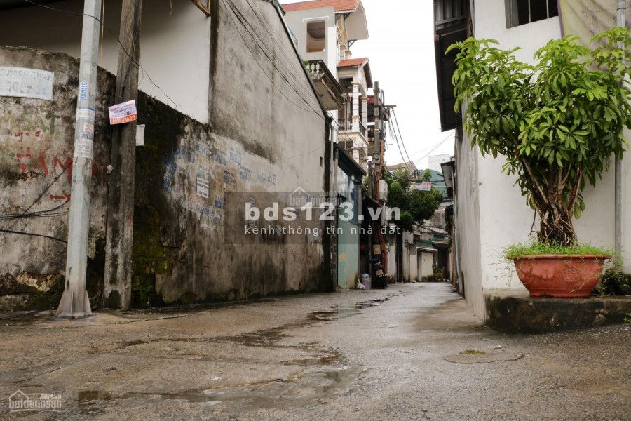 Đất Long Biên tràn trề nhựa sống, ô tô vào đất diện tích sử dụng 56m2 giá bán 2 tỷ hơn
