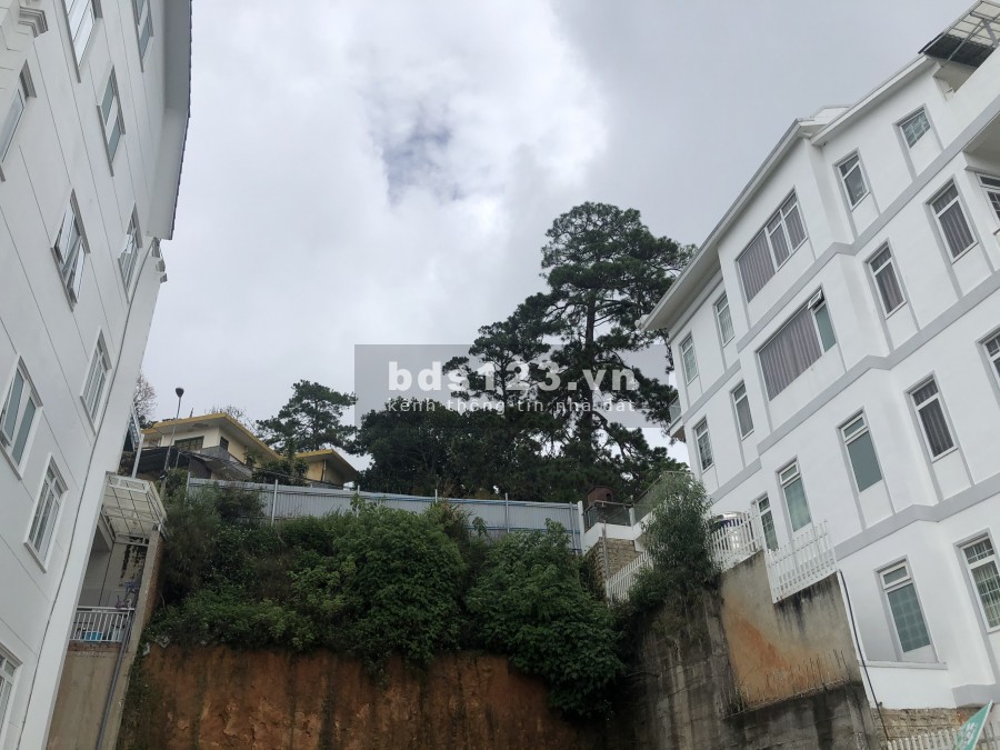 Cần bán lô đất 2 mặt tiền đường Khe Sanh thành phố Đà Lạt giá chỉ 15.3 tỷ thương lượng nhẹ