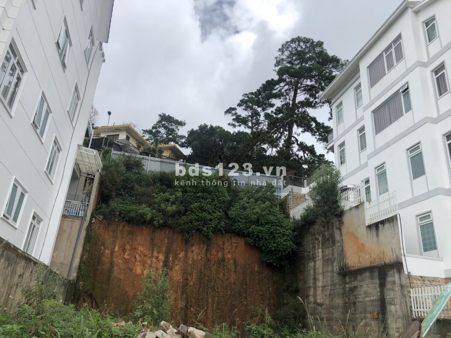Cần bán lô đất 2 mặt tiền đường Khe Sanh thành phố Đà Lạt giá chỉ 15.3 tỷ thương lượng nhẹ