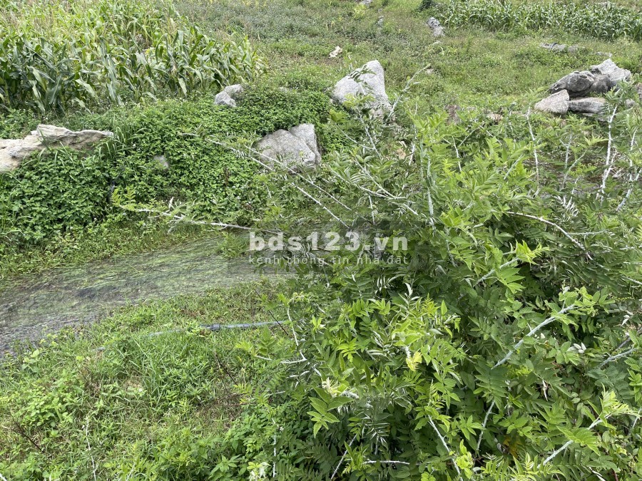 Bán đất Mộc Châu view thung lũng siêu đẹp khí hậu mát mẻ quanh năm