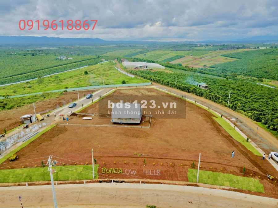 Đất Ngỉ Dưỡng, View Đồi Săn Mây, Siêu Đẹp, Toạ Lạc Tại TP Bảo Lộc