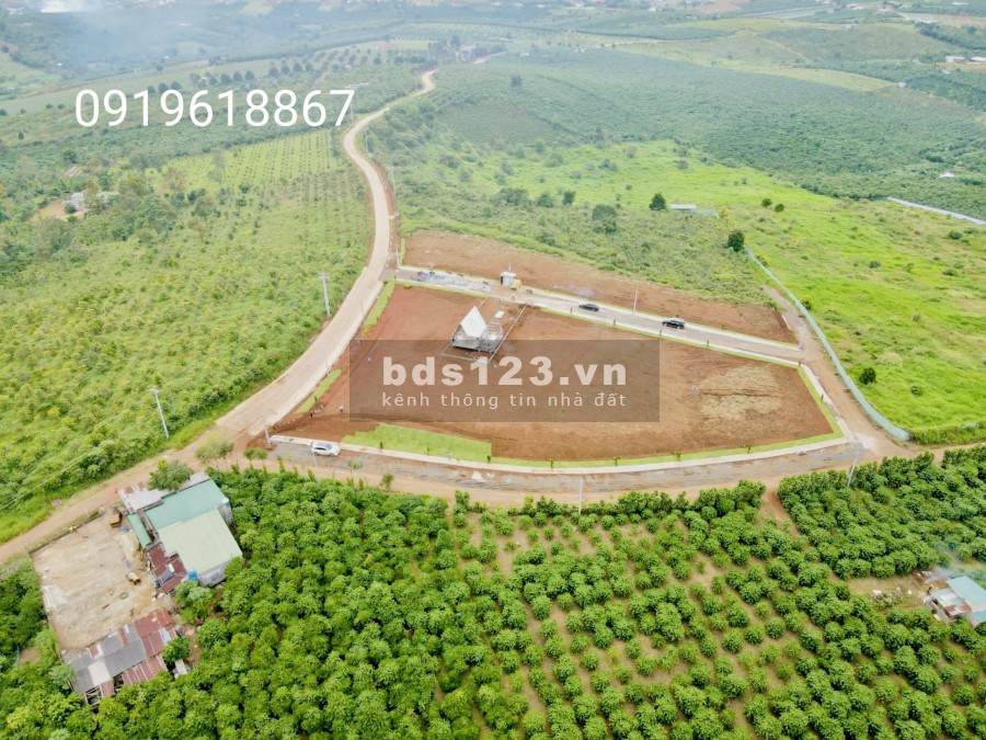 Đất Ngỉ Dưỡng, View Đồi Săn Mây, Siêu Đẹp, Toạ Lạc Tại TP Bảo Lộc