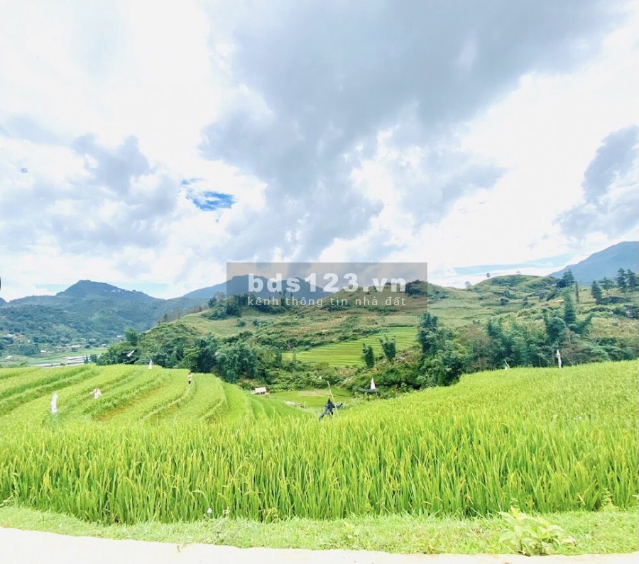 Bán mảnh đất 1400m2,có thổ cư,có sổ đỏ tại Mặt đường TL152 đi Tả Van-Sapa