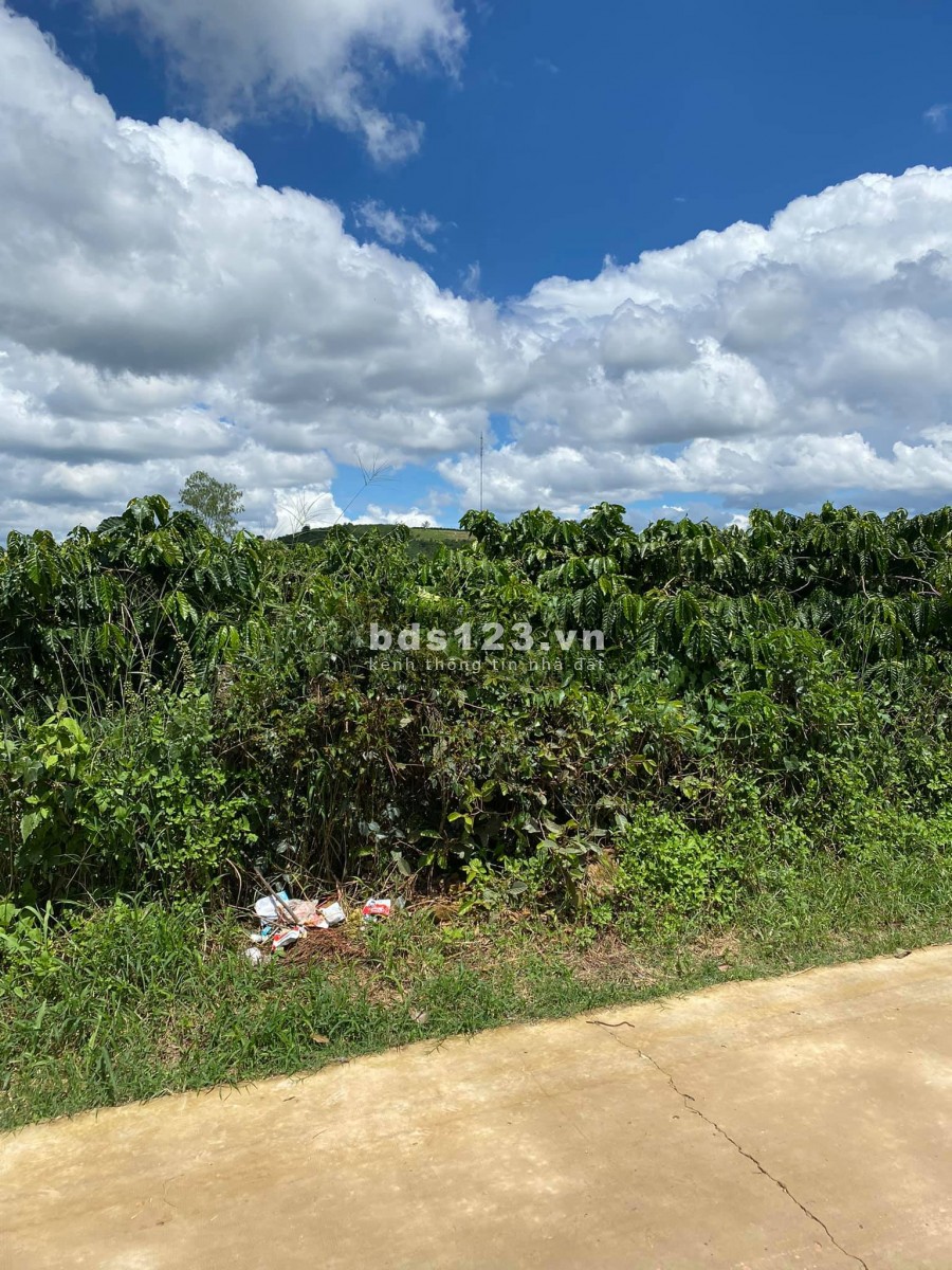 Bán 200 M2 Đất Thổ Cư Thị Trấn Nam Ban 639 Triệu, Lưng Tựa Đồi Đẹp
