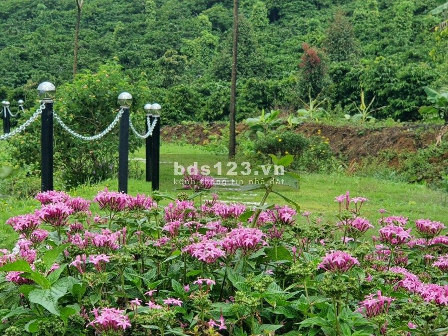 Tìm chủ mới cho em đất dáng đẹp, cao, mịn chỉ 767 triệu, liên hệ xem đất 0326502787