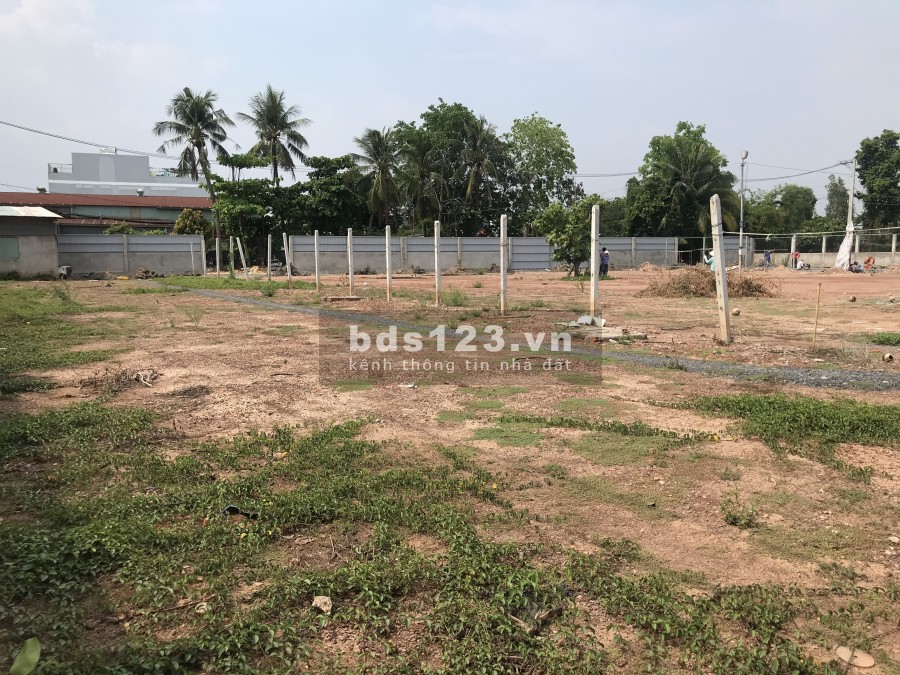 Cho thuê đất trống 3000m2 đường An Phú Đông 3, Phường An Phú Đông. Quận 12