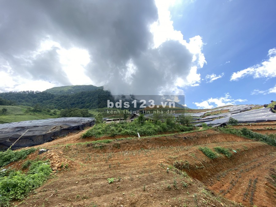 Dịch Covit hết tiền bán 1840m2 đất nên nghỉ dưỡng Mường Hoa-Sa Pa