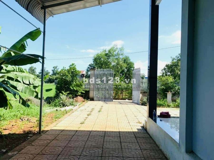 Bán gấp 1200m2 đất thổ cư có sẳn nhà cấp 4 tiện làm nhà vườn nghĩ dưỡng