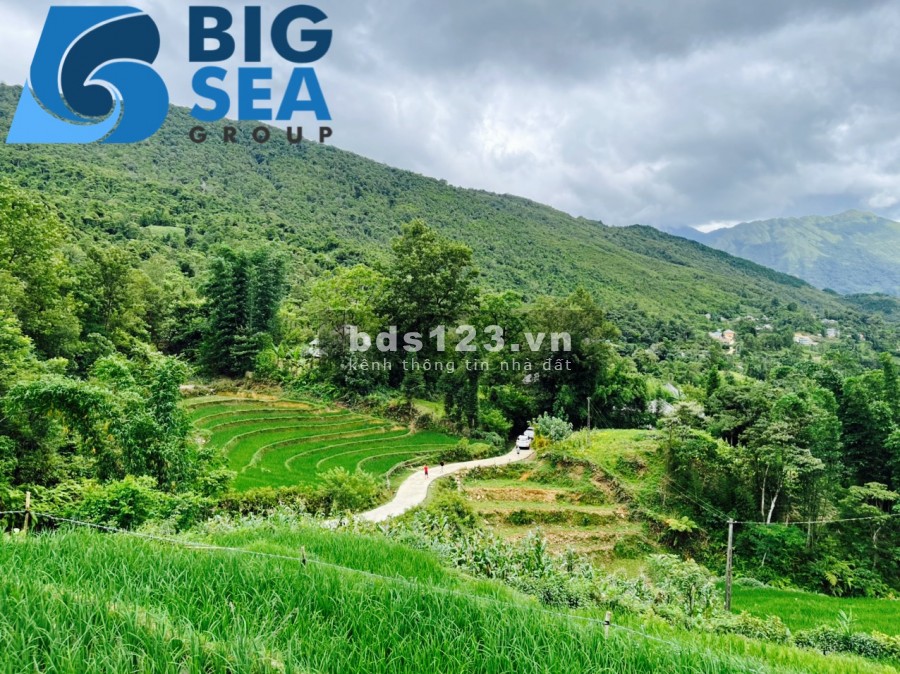 Bán đất Lao Chải,Y Tý-SaPa2 view thung lũng ruộng bậc thang siêu đẹp