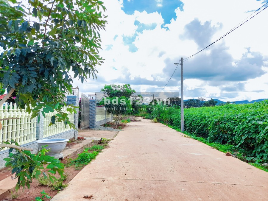 Bán Gấp lô Đất Tổ 32 thị trấn Liên Nghĩa Đức Trọng giá chỉ 950 triệu, khu dân cư đông đúc