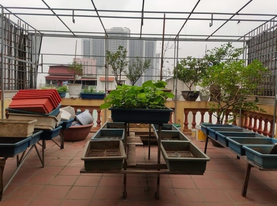 Mặt Phố kinh doanh sầm uất, Lạc Chính 85m x 4 tầng, MT 6m, giá 22 tỷ.