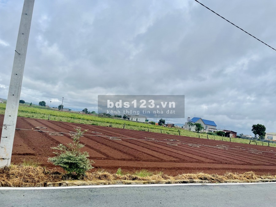 Bán đất nền thị trấn Liên Nghĩa Đức Trọng, Lâm Đồng, xung quanh tiện ích đầy đủ không thiếu thứ gì